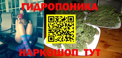 круглые Кингисепп