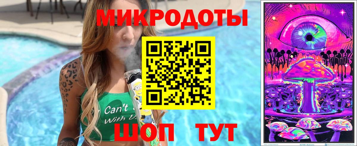 Псилоцибиновые грибы Psilocybe Краснознаменск