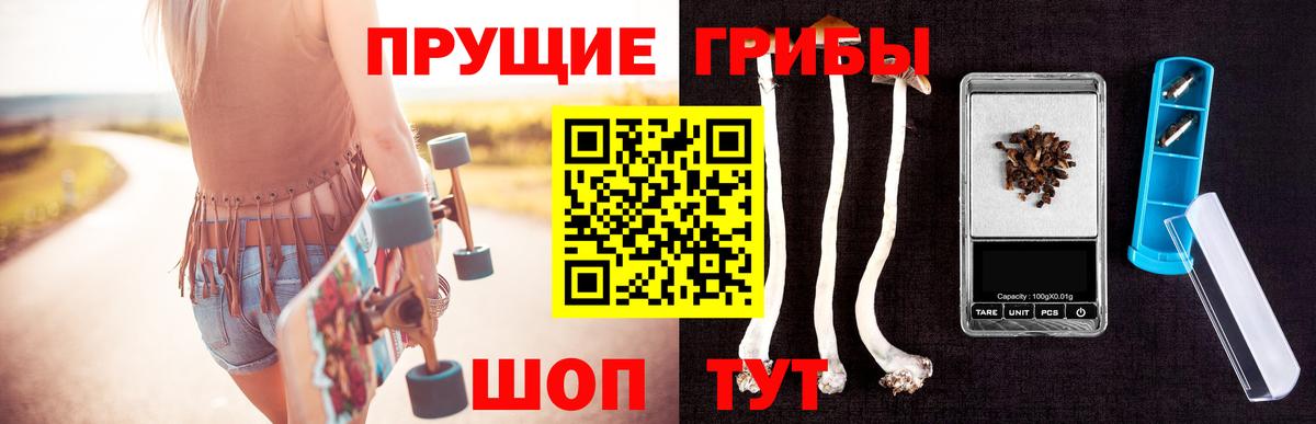 Краснознаменск  где купить наркоту  Галлюциногенные грибы Cubensis  Вход с VPN  Псилоцибиновые грибы Cubensis 